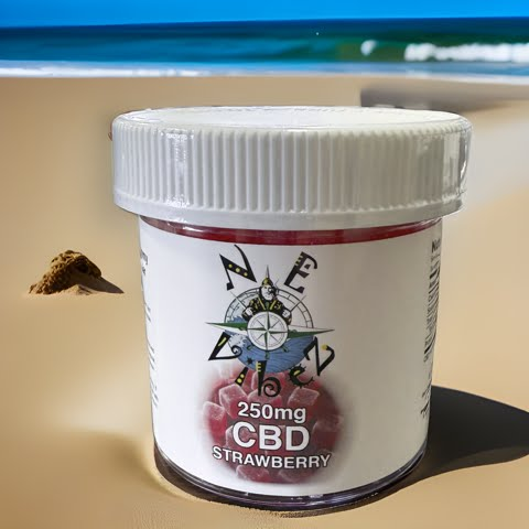 N.E. Vibez - 250 mg CBD Gummies